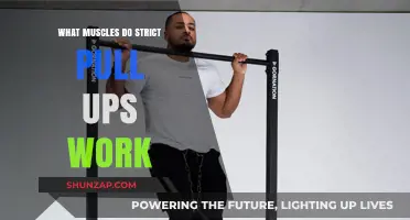 Strict Pull-Ups: Targeted Muscles for Strength and Upper Body Power
