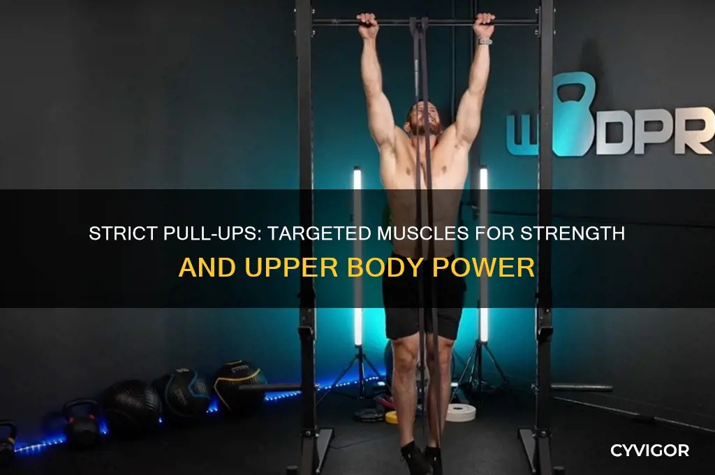 what muscles do strict pull ups work