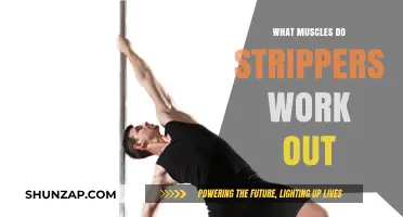 Muscles Strippers Tone: Core, Legs, and Upper Body Strength Training