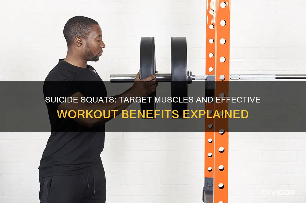 what muscles do suicides work