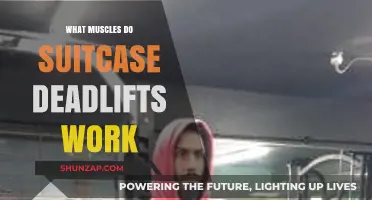Suitcase Deadlifts: Target Muscles and Full-Body Benefits Explained
