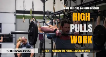 Sumo Deadlift High Pulls: Targeted Muscles and Benefits Explained