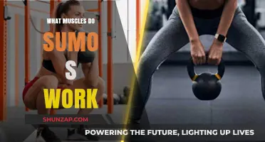 Sumo Workout Muscles: Unlocking Strength and Stability in Traditional Training
