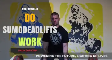 Sumo Deadlift Muscles: Targeted Strength Training Benefits Explained