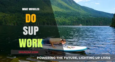 Sup Exercise: Targeted Muscles and Benefits Explained in Detail