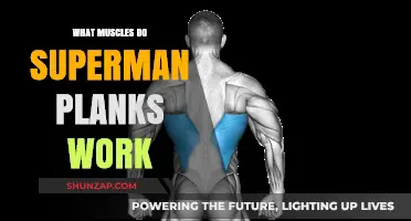 Superman Planks: Targeted Muscles and Core Strengthening Benefits Explained