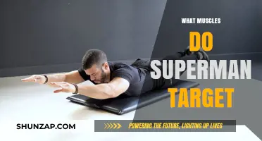 Superhuman Back: Targeting Muscles with Supermans
