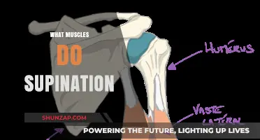 Exercises to Strengthen Your Forearm Supination Muscles