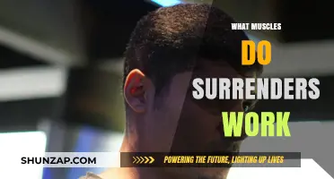 Surrenders Exercise: Target Muscles and Benefits Explained in Detail
