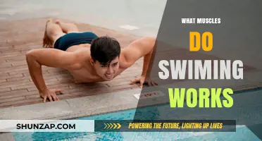 Swimming's Full-Body Workout: Muscles Targeted and Strengthened