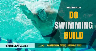 Dive into Fitness: Unveiling the Muscles Swimming Builds