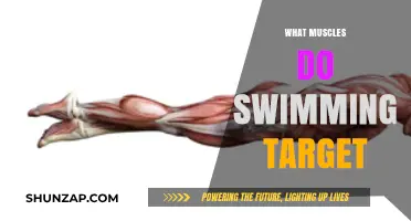 Swimming Workouts: Targeting Muscle Groups