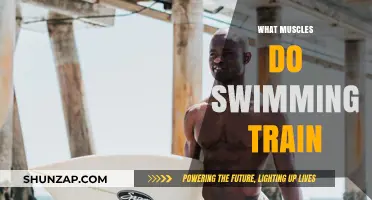 Swimming Workouts: Which Muscles Get Trained?