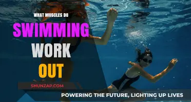 Swimming's Full-Body Benefits: Muscles Targeted in Every Stroke