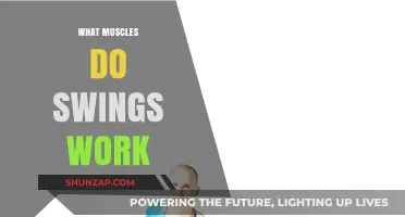 Swings Workout Benefits: Targeted Muscles and Full-Body Engagement Explained