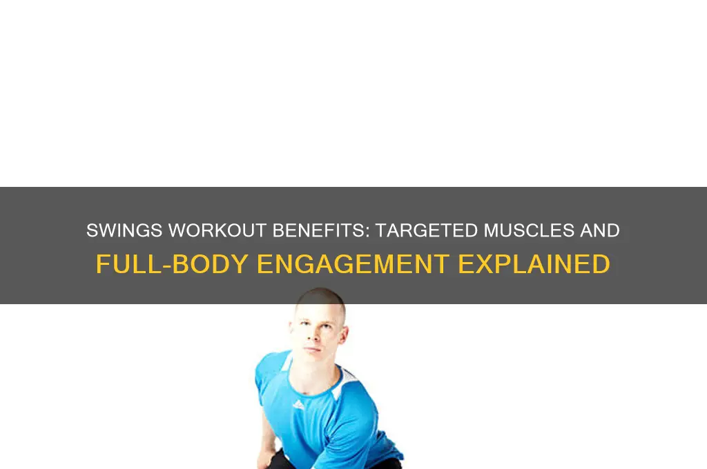what muscles do swings work