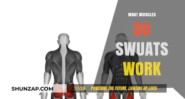 Squats: Unlocking the Power of Your Lower Body Muscles