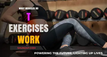 Targeted T-Exercises: Muscles Worked and Benefits Explained