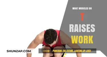 T Raises: Targeted Muscles and Benefits for Shoulder Strength