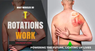 T Rotations: Target Muscles and Benefits for Core Strength
