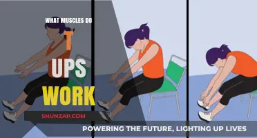 T-Ups: Targeted Muscles and Benefits for Core Strength Training