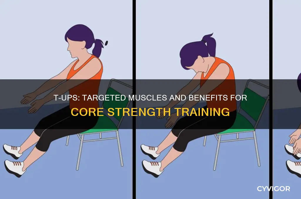 what muscles do t ups work