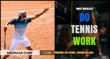 Tennis Workout: Muscles Engaged and Strengthened on the Court