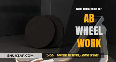Ab Wheel Workout: Targeted Muscles and Core Strength Benefits