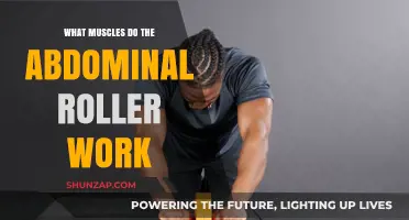 Ab Roller Muscles: Targeted Core Workout Benefits Explained