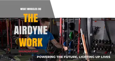 Airdyne Workout: Targeted Muscles and Full-Body Benefits Explained