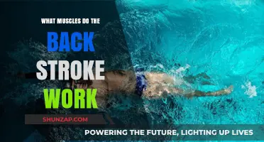 Backstroke Benefits: Targeted Muscles and Full-Body Strengthening Explained