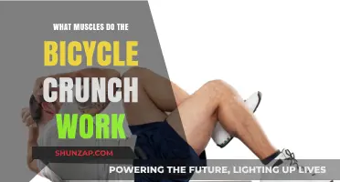 Bicycle Crunch Muscles: Targeting Abs, Obliques, and Core Strength