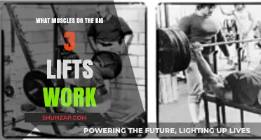 Muscles Targeted by Squats, Deadlifts, and Bench Press: The Big 3 Breakdown