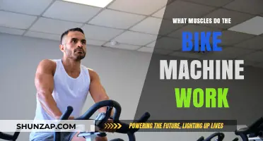 Bike Machine Muscles: Targeted Workout Benefits and Key Areas