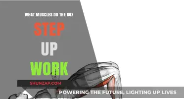 Box Step-Ups: Targeted Muscles and Full-Body Benefits Explained