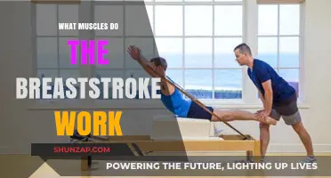 Breaststroke Benefits: Targeted Muscles for Strength and Endurance