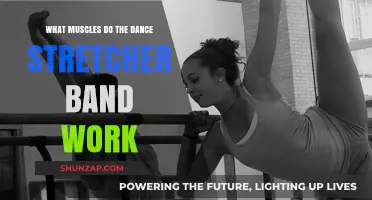 Dance Stretcher Band: Target Muscles for Flexibility and Strength
