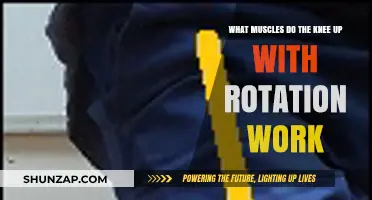 Knee-Up with Rotation: Targeted Muscles and Movement Breakdown