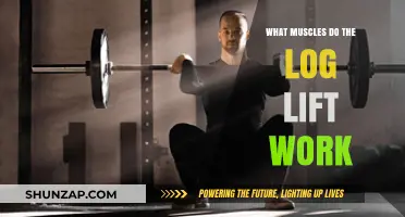 Log Lift Muscles: Targeted Strength Training for Upper Body Power