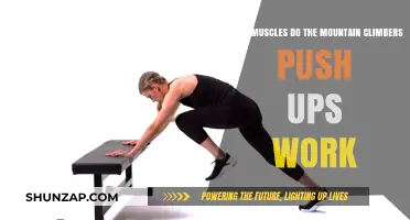 Mountain Climbers Push Ups: Muscles Worked and Benefits Explained