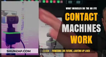 No Eye Contact Machines: Targeted Muscles and Their Benefits Explained
