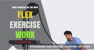 Rope Flex Exercise: Target Muscles and Benefits Explained