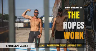 Rope Training: Unlocking Full-Body Strength and Muscle Engagement