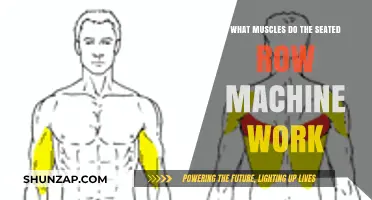 Seated Row Machine: Target Muscles and Benefits Explained