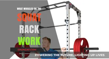 Squat Rack Muscles: Unlocking Full-Body Strength and Power