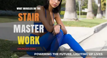 StairMaster Workout Benefits: Targeted Muscles and Fitness Gains Explained