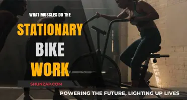 Stationary Bike Benefits: Targeted Muscles for a Full-Body Workout
