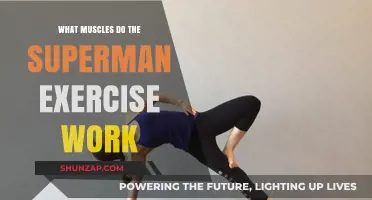 Superman Exercise: Targeted Muscles and Core Strengthening Benefits Explained