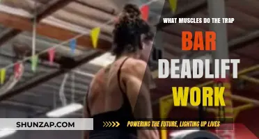 Trap Bar Deadlift Muscles: Targeted Strength Training Benefits Explained