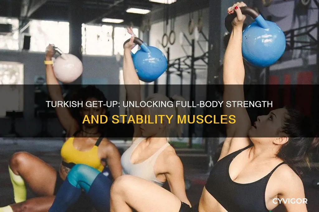 what muscles do the turkish get up work